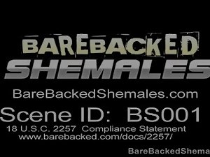Light-haired Shemale Ass Bareback